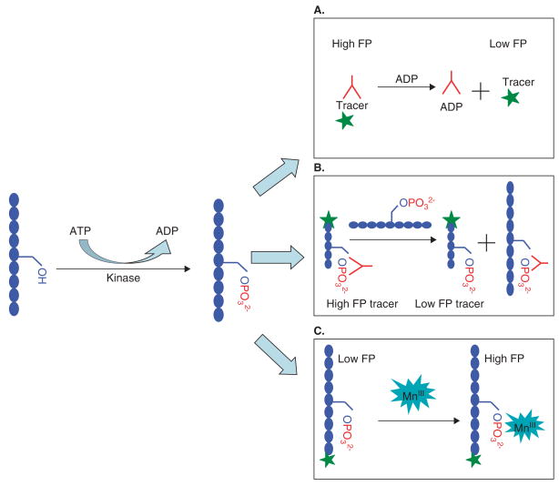 The challenge of selecting protein kinase assays for lead discovery optimization.