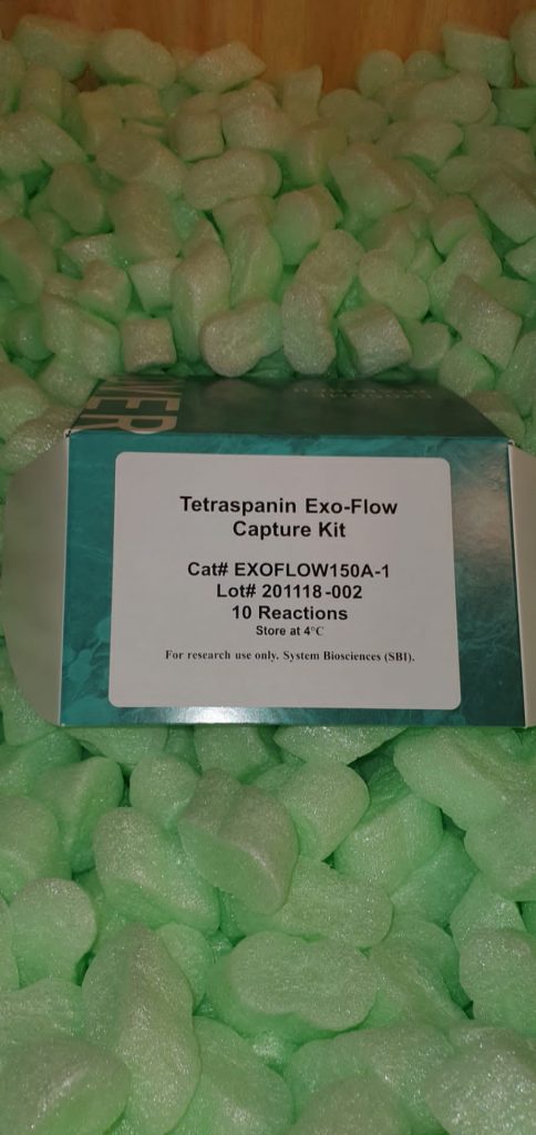 Fatigue performance of auxetic meta-biomaterials