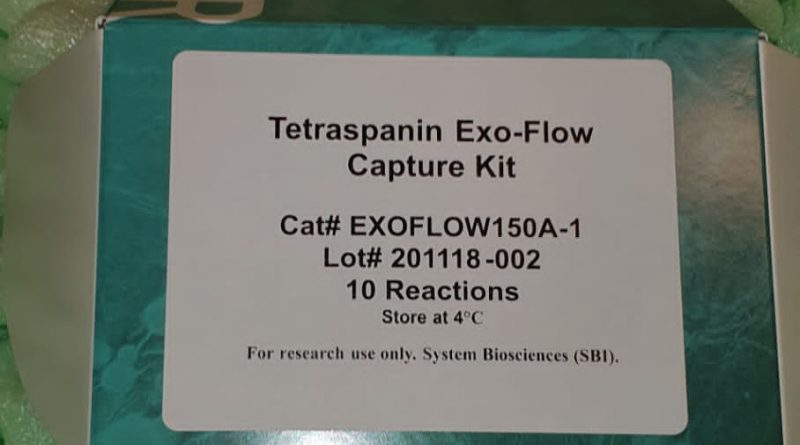 Fatigue performance of auxetic meta-biomaterials